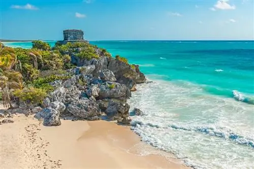 7 лучших однодневных поездок из Тулума, которые вы не захотите пропустить