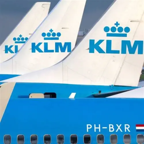 Хвостовой плавник КЛМ