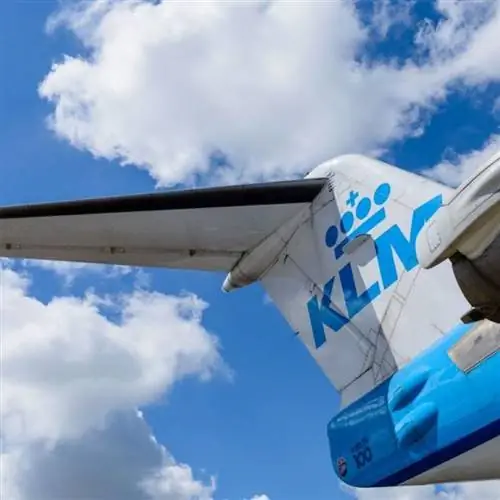 клм хвостовой плавник