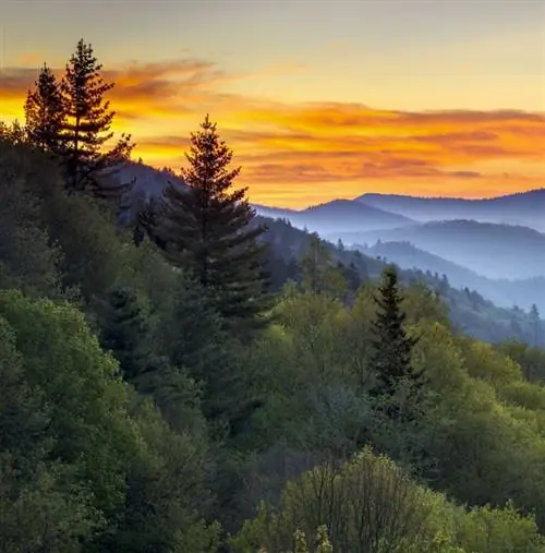 Национальный парк Грейт-Смоки-Маунтинс