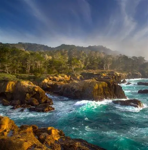 Пойнт Лобос