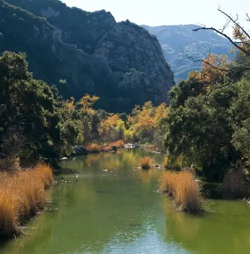 Малибу Крик