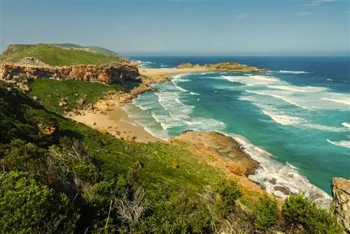 Топ-6 мест для изучения на «Дороге садов» Южной Африки