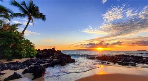 Гавайи продлевают ограничения на поездки и требования к маскам еще на 60 дней