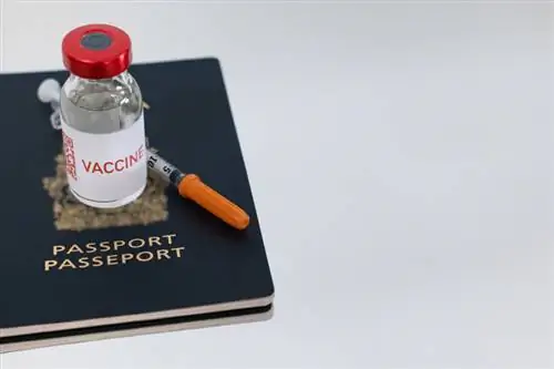 канадский паспорт с вакциной