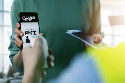 Работник аэропорта сканирует паспорт туристической вакцины в мобильном телефоне.
