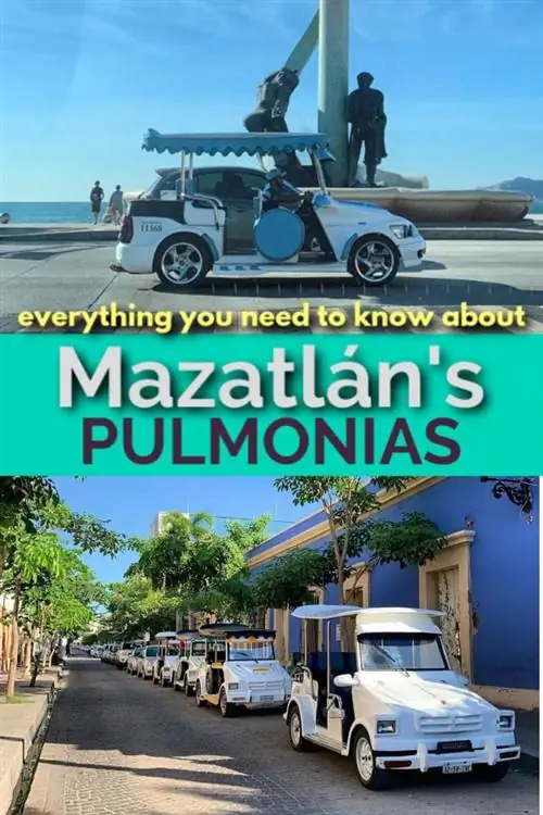 все, что вам нужно знать о пулмониях Масатлана