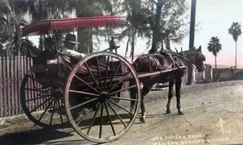 Арана Масатлан