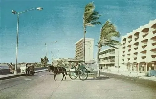 Легочные и араны, Масатлан 1960-х годов