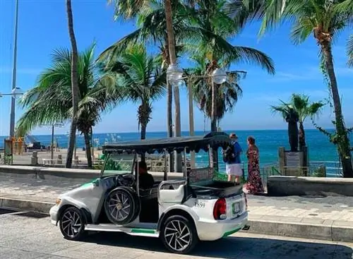 Полный путеводитель по Масатлану Пульмониас с ценами