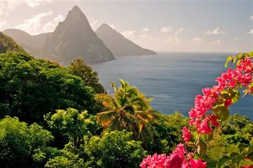 Эти курорты предлагают бесплатное ПЦР-тестирование для канадских путешественников