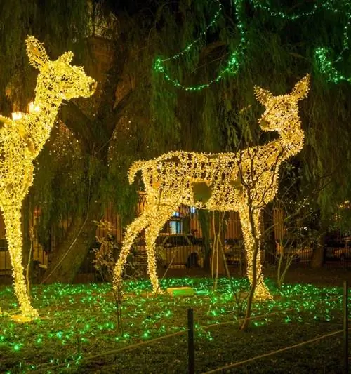 Праздничное световое шоу в зоопарке Бронкса