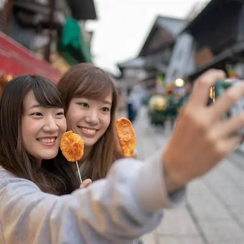 японские путешественники