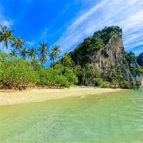 Тонсай Рейли Краби Таиланд