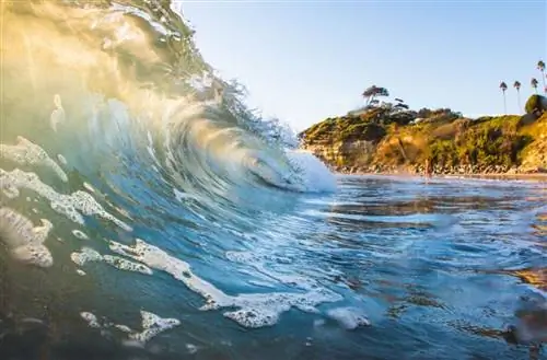 7 причин, по которым вам следует посетить Сан-Диего, штат Калифорния, этой зимой