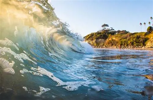 7 главных причин, по которым вам следует посетить Сан-Диего, штат Калифорния, этой зимой