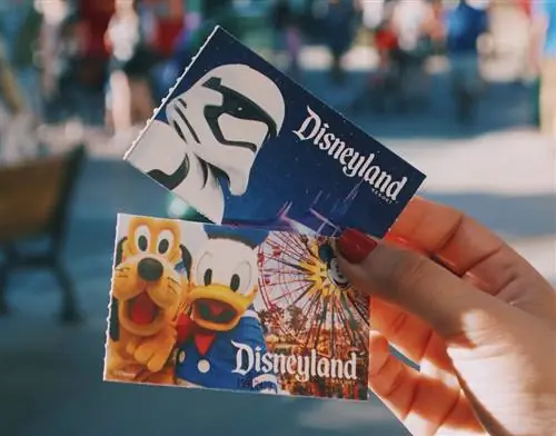 Диснейленд вновь откроется 30 апреля 2021 г.