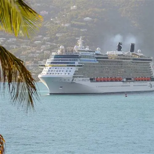 Гавайи круизная пальма