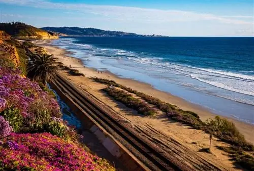 6 незабываемых бесплатных занятий в Сан-Диего