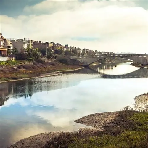 Заповедник водно-болотных угодий лагуны Баллона в районе Венеции Лос-Анджелеса пасмурным утром.
