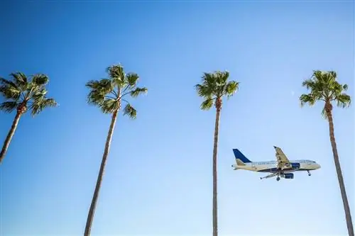 4 забавных занятия во время 24-часовой остановки в Лос-Анджелесе