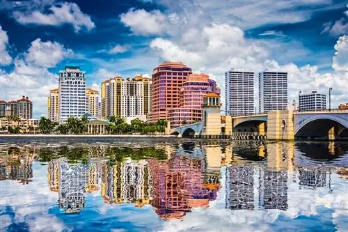 Топ-7 скрытых жемчужин Палм-Бич, которые стоит открыть этой зимой