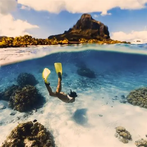 Дайвер Маврикий