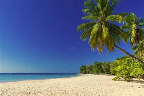 4 лучших отдаленных места для зимнего отдыха под солнцем