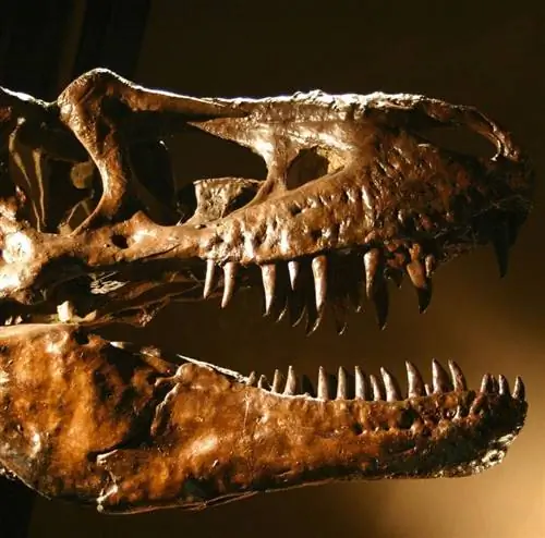 Музей естественной истории Лос-Анджелеса