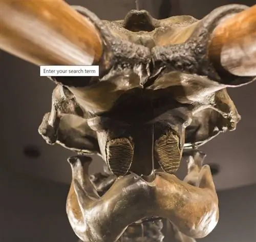 Музей смоляной ямы Ла Бреа