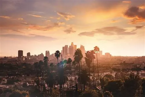 Топ-10 музеев, которые стоит увидеть во время посещения Лос-Анджелеса