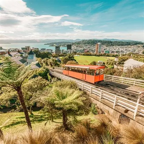 Веллингтон, Новая Зеландия