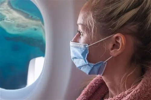 Гавайи планируют ужесточить ограничения на поездки