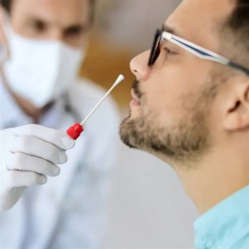 тест на ковид