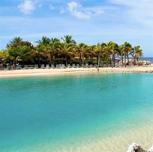 Чистая вода и пальмы на пляже Мамбо, Кюрасао