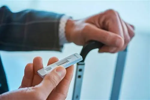 Бесплатные домашние тесты Байдена для американцев не подойдут для путешествий: вот тесты, которые работают