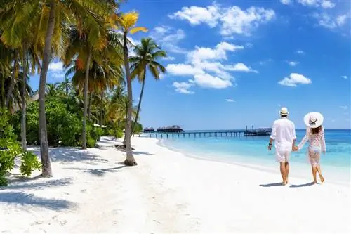 7 советов по планированию бюджетного отпуска мечты в США