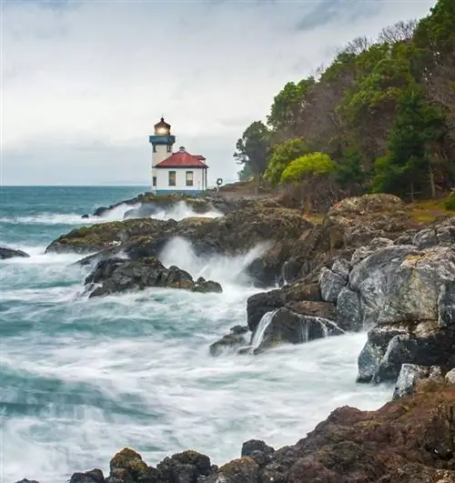 Государственный парк Лайм-Килн-Пойнт