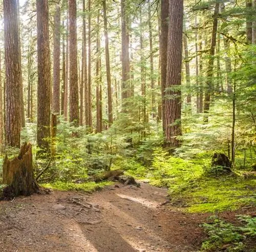 Государственный парк «Пылающий гейзер»