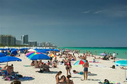 Ограничения в популярных местах весенних каникул, о которых нужно знать путешественникам