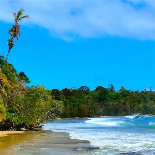 Дикий пляж Бокас-дель-Торо в Панаме
