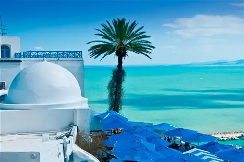 10 стран с глушью, которые не требуют тестирования