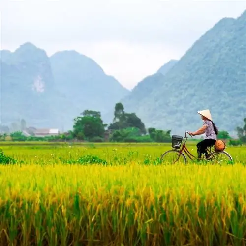 Вьетнамская женщина катается на велосипеде по долине