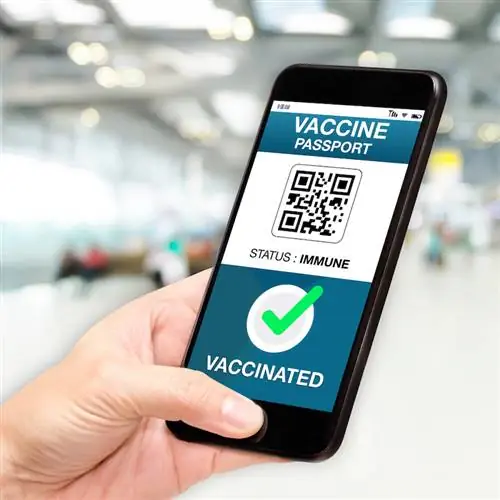 Дорожный паспорт для вакцинации