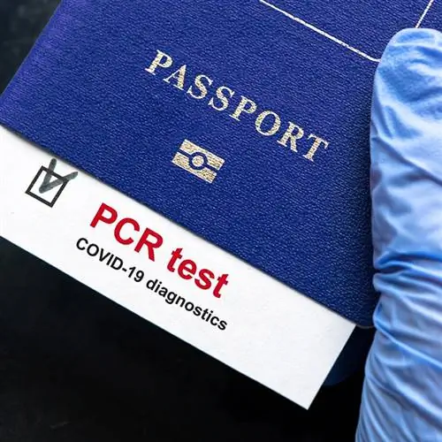 Паспорт и ПЦР тест