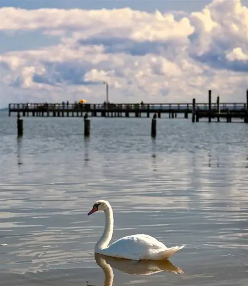 Колониальный пляж (Вирджиния)