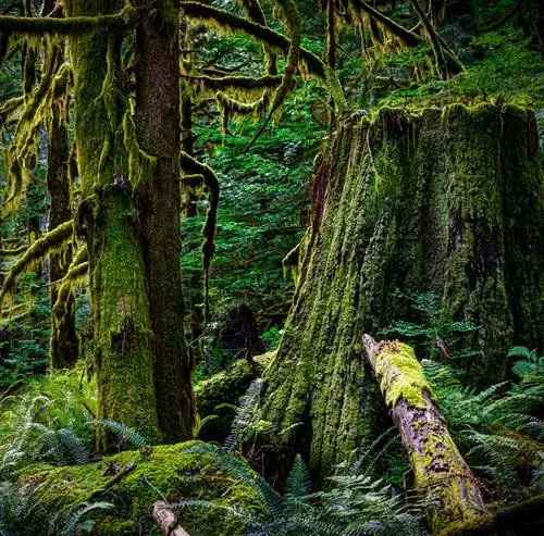 Поход по тропе Хоббита