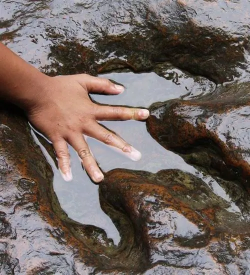 Посетите доисторические сады (Орегон)