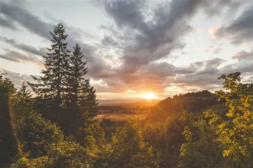 Топ-10 необычных развлечений на северо-западе Тихоокеанского региона