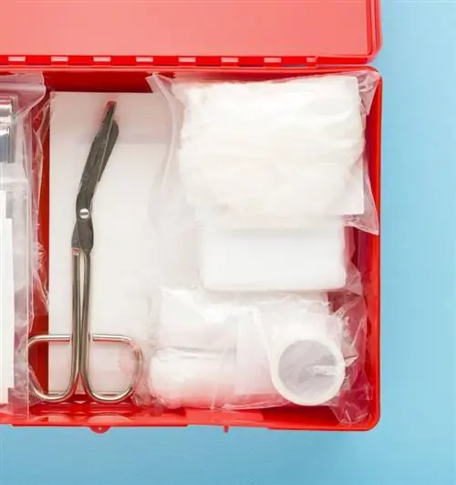 Соберите аварийный комплект